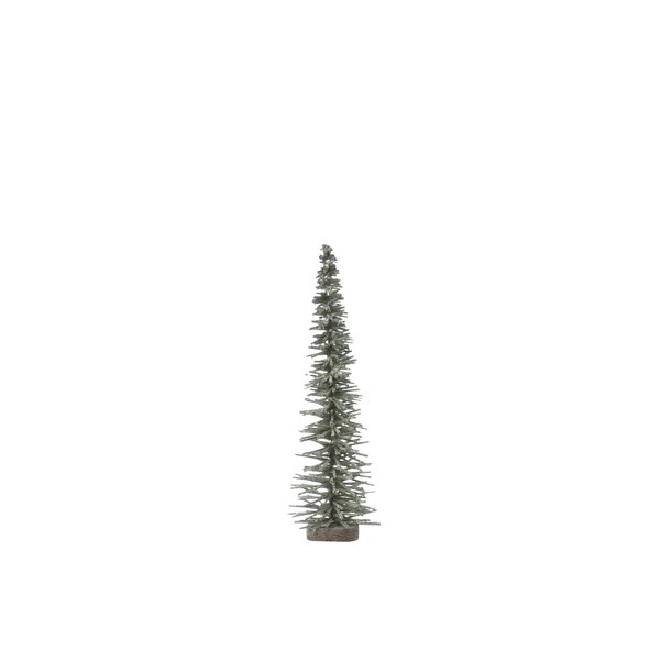 Bottle Brush Trees | Wayfair